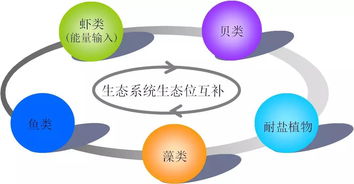 浙江省海洋水產(chǎn)研究所多生態(tài)位設(shè)施化耦合養(yǎng)殖技術(shù)開發(fā)及應(yīng)用榮獲省科技進步三等獎